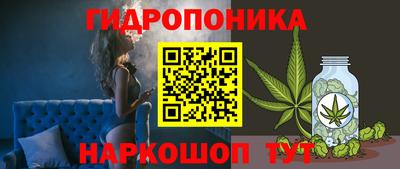 PSILOCYBIN Гагарин