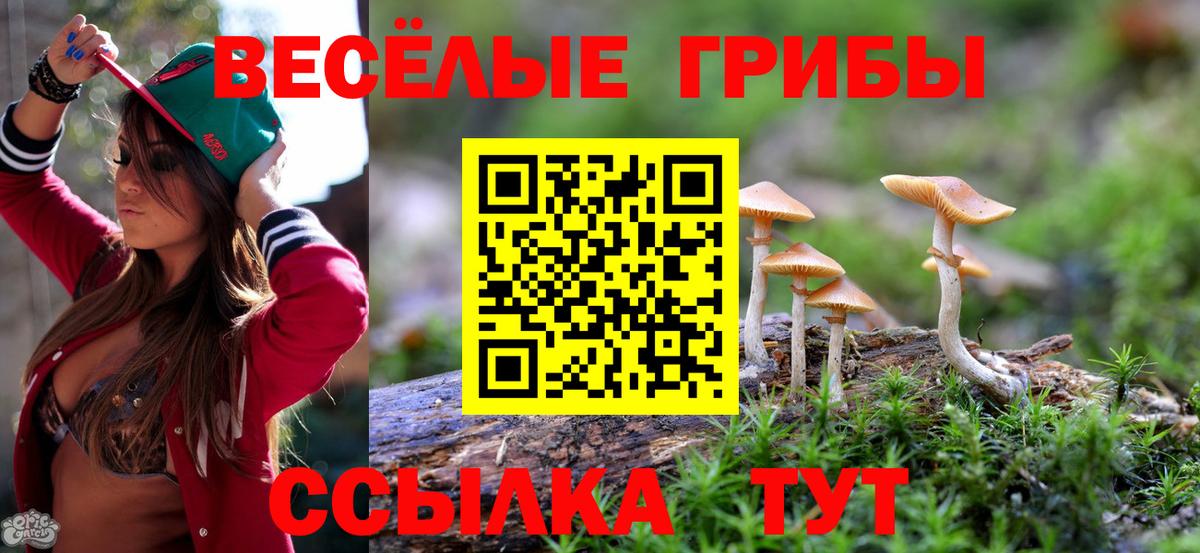 Псилоцибиновые грибы ЛСД  Псилоцибиновые грибы Psilocybine cubensis  Вход с VPN  Тверь 