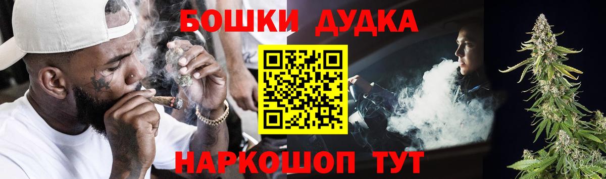 Конопля сатива Тверь